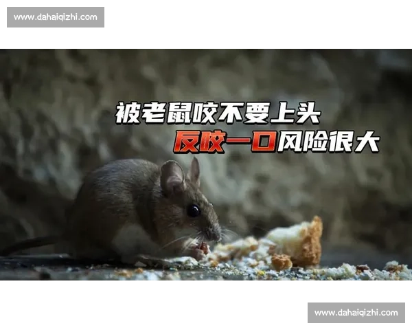 辽宁钓友钓 20 斤大鲅鱼反被咬伤 海洋 隐形杀手 暗藏风险